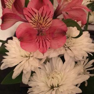 Meet your Posher, Claudie